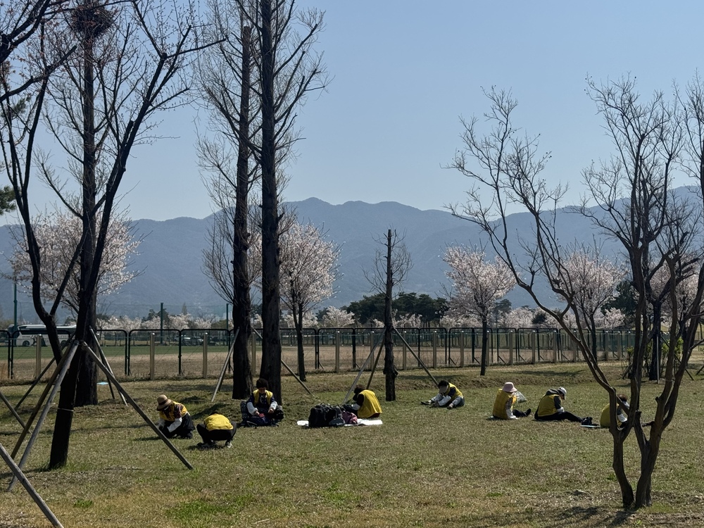 쑥캐기 현장사진1.jpg