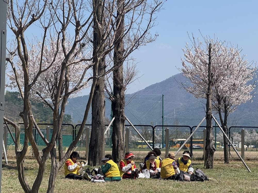 쑥캐기 현장사진2.jpg